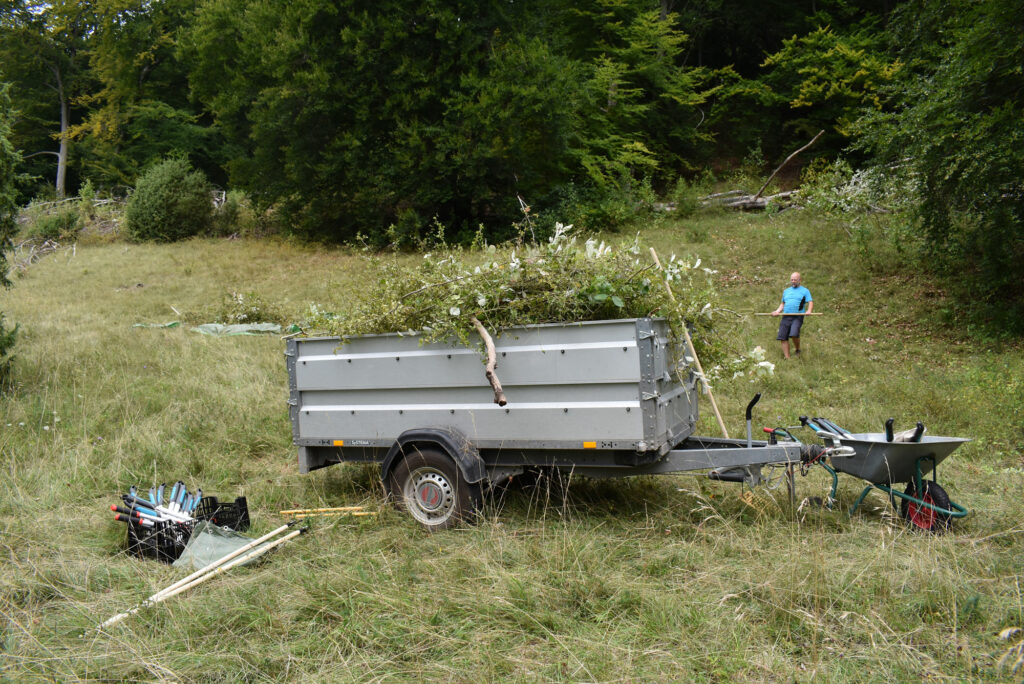 Ein offener Anhänger steht auf einer Wiese und ist bis oben mit Geholz und Reisig gefüllt. Im Hintergrund sind Wald und ein arbeitender Mann in hellblauen T-Shirt sichtbar.