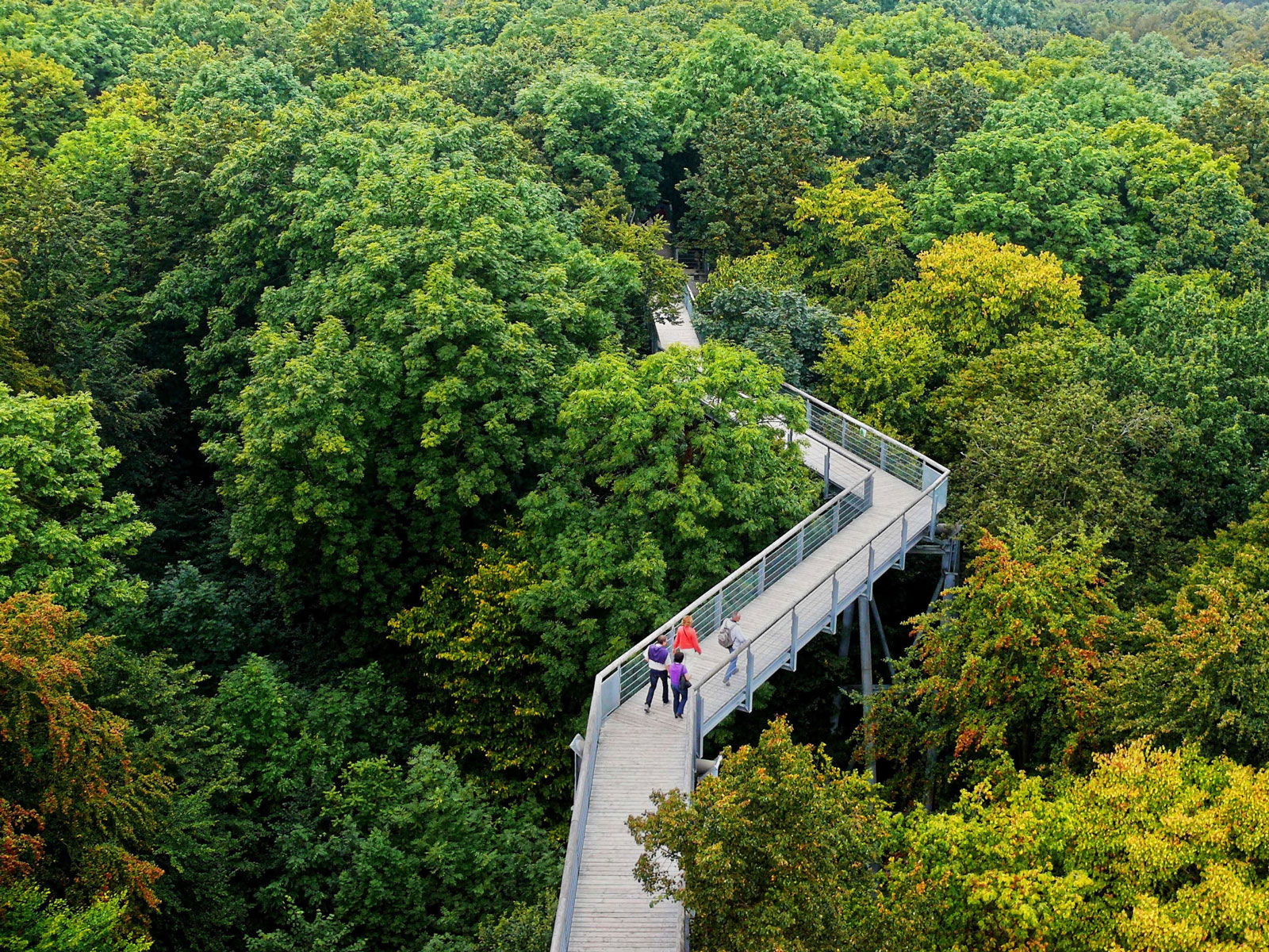Baumkronenpfad Hainich